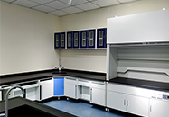 ʵ������ͨ���ı�������